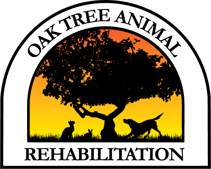 Oak Tree Animal Rehabilitation Logo