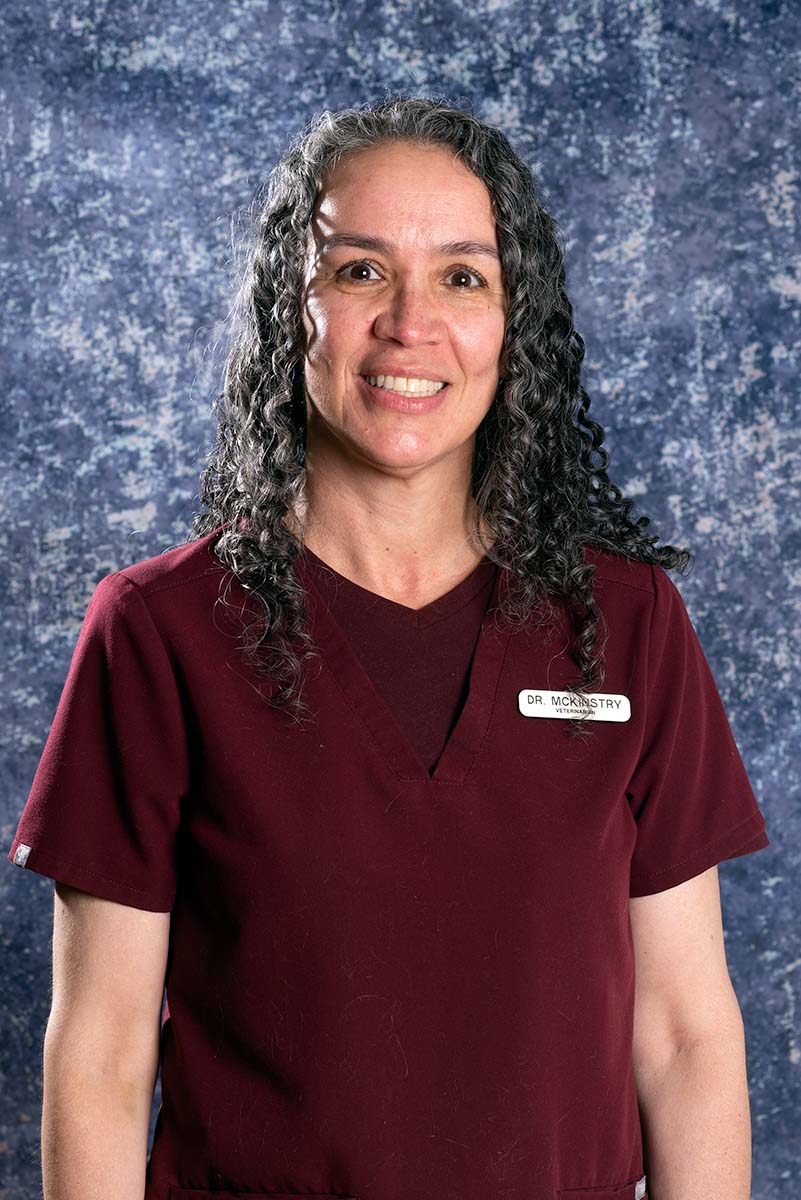 Arlene McKinstry, DVM, CCRP, CVA Arlene McKinstry, DVM, CCRP, CVA