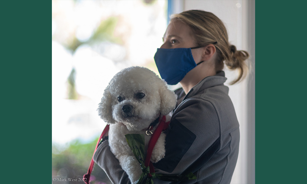 Human in blue mask holding white dog wearing a red leash