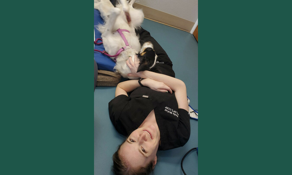 Multicolored long hair dog cuddled up with human on blue tiled floor